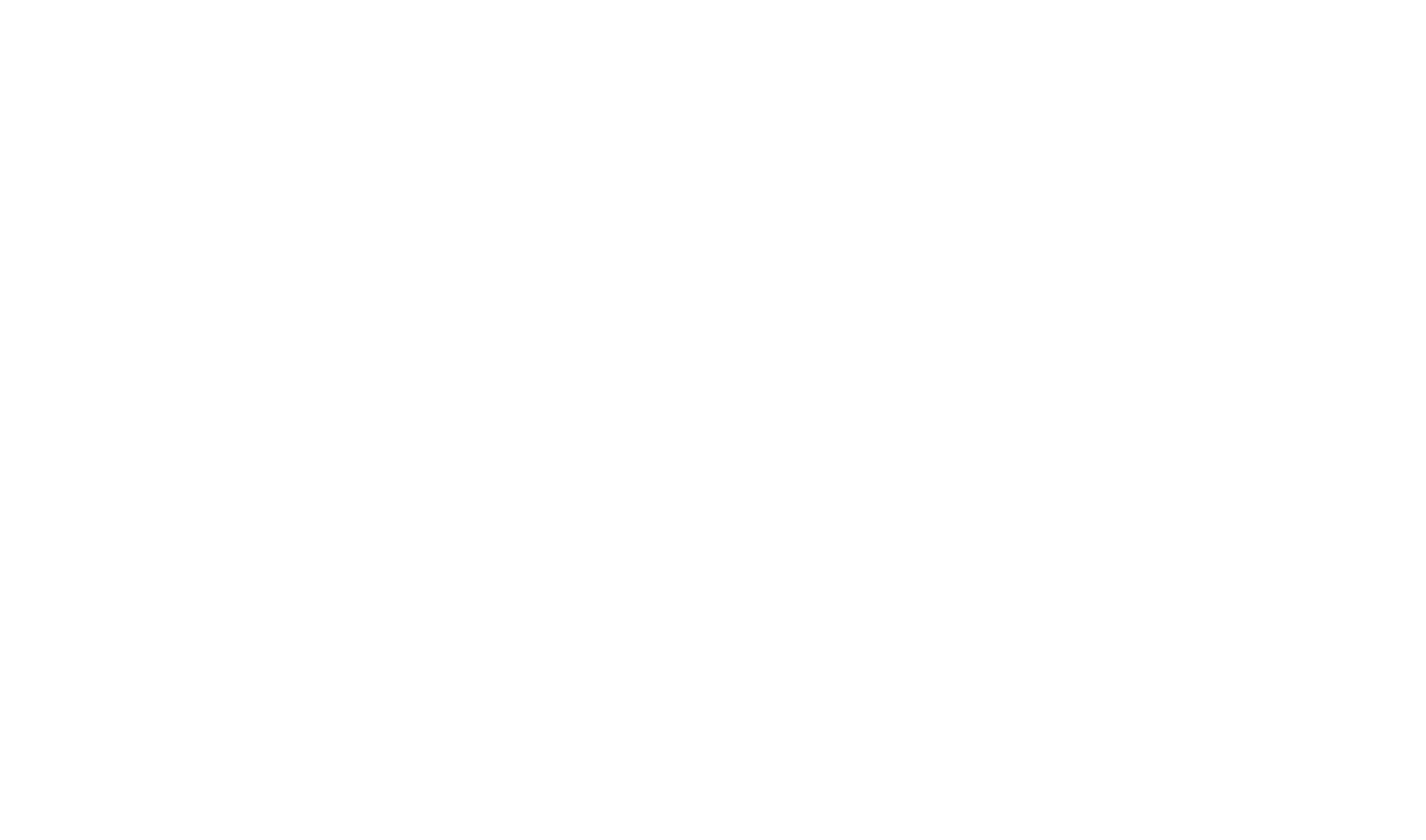 logo ALK blanc